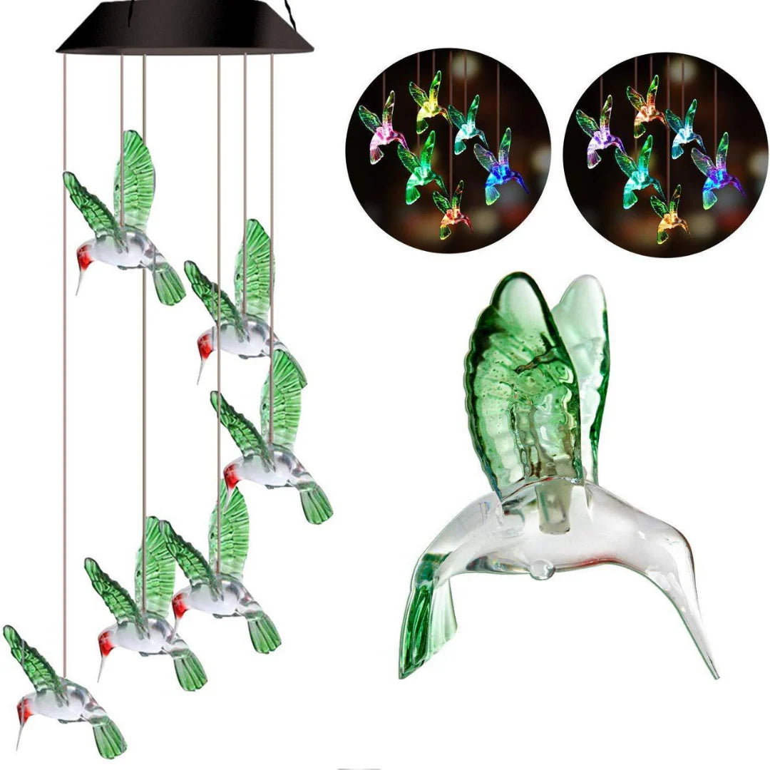 COLIBRI SOLAR ☀️