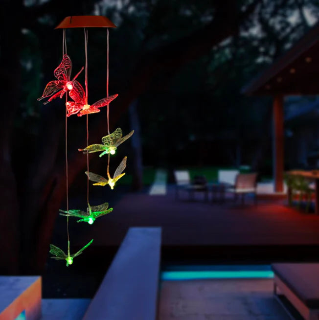 COLIBRI SOLAR ☀️