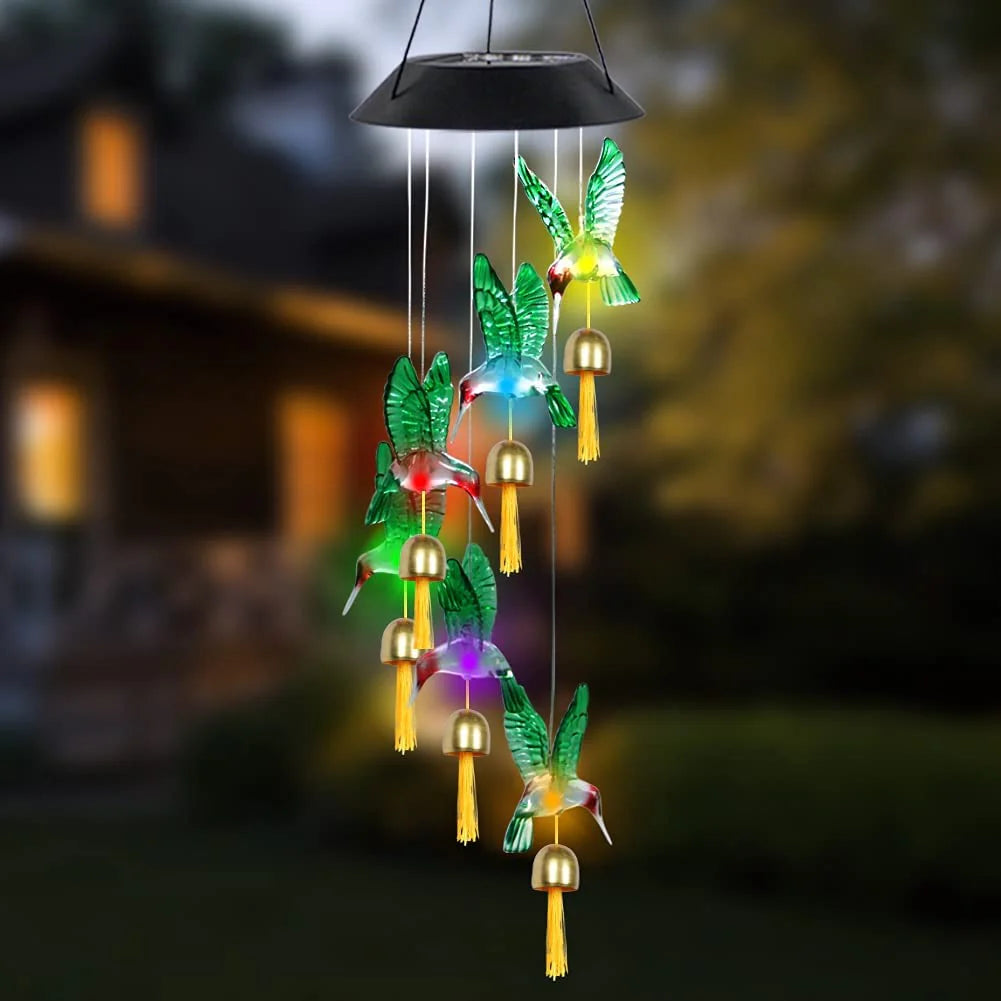 COLIBRI SOLAR ☀️